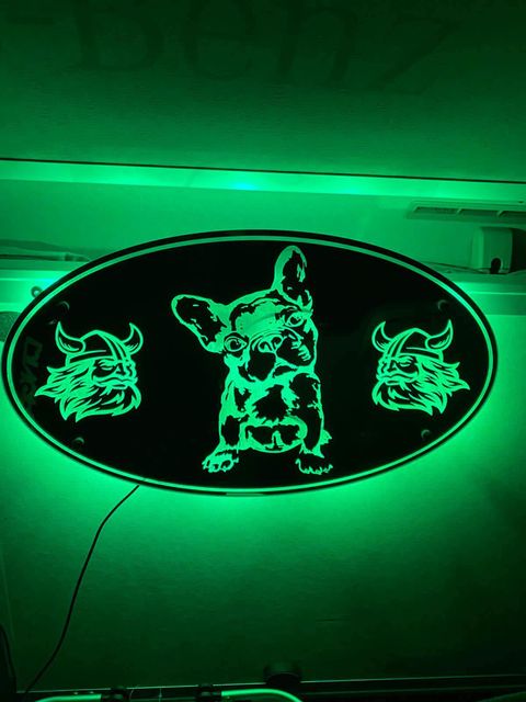 LED SPEGEL - HUND image 0
