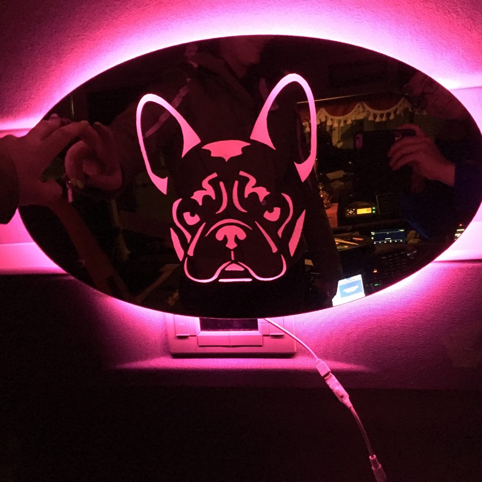 LED SPEGEL - HUND image 0